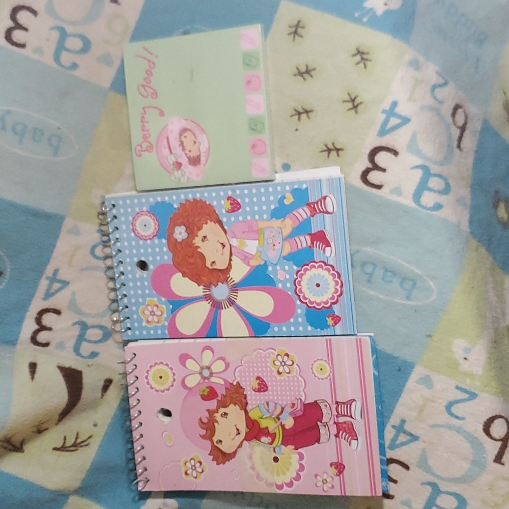 Strawberry SHORTCAKE notebooks & post it notes
